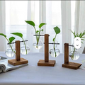 Desktop Plant Terrarium with Wooden Stand