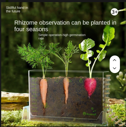 Plant Root Viewer Kit for STEM Kids